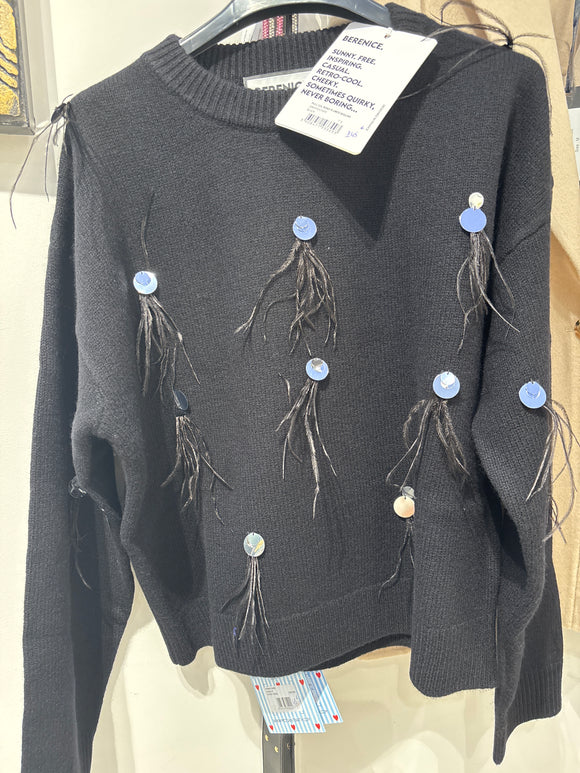 Pull col rond plumes sequins