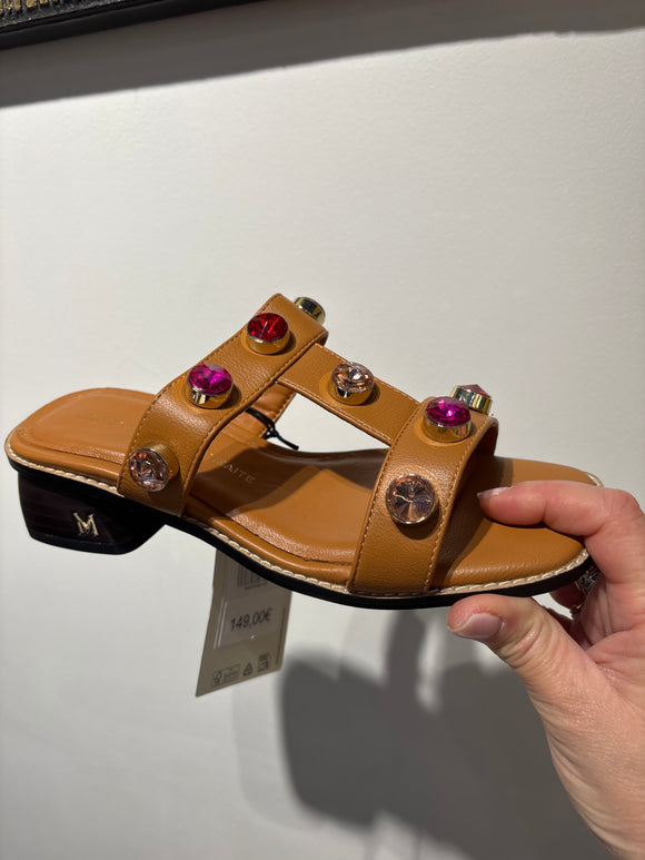 MS2605004 marron